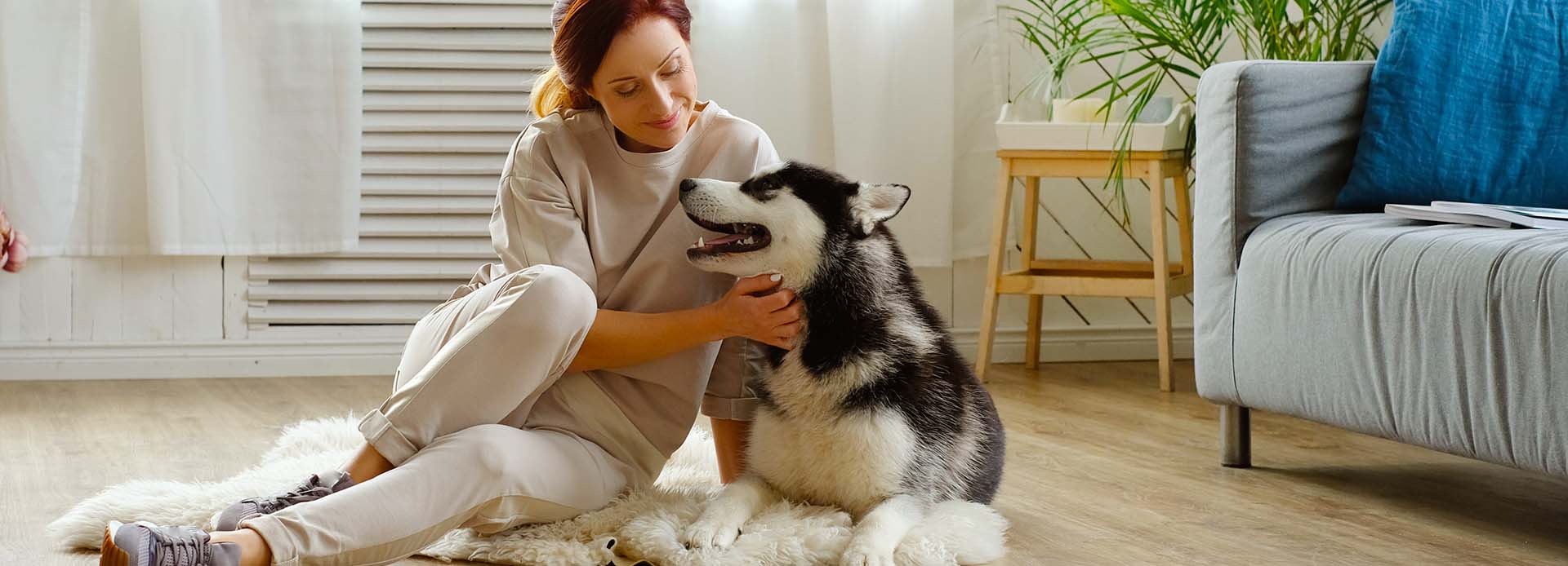 Tips para hacer tu hogar más pet friendly