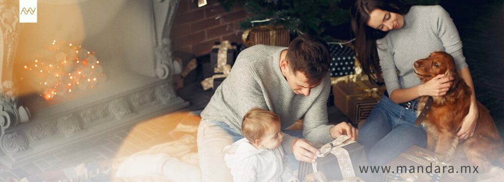 El regalo perfecto de navidad es un entorno seguro para tu familia.